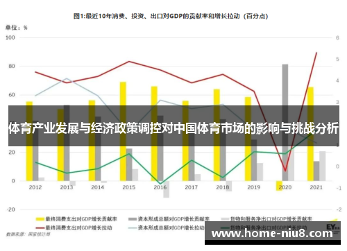 体育产业发展与经济政策调控对中国体育市场的影响与挑战分析