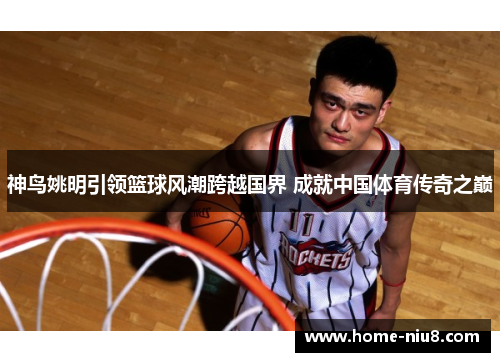 神鸟姚明引领篮球风潮跨越国界 成就中国体育传奇之巅