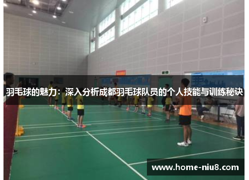 羽毛球的魅力：深入分析成都羽毛球队员的个人技能与训练秘诀