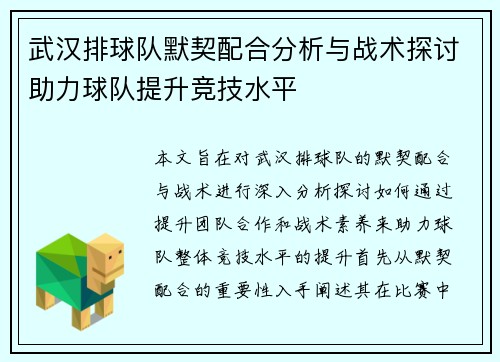 武汉排球队默契配合分析与战术探讨助力球队提升竞技水平