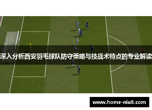 深入分析西安羽毛球队防守策略与技战术特点的专业解读