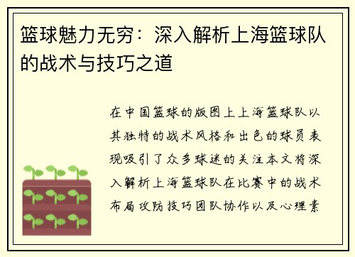 篮球魅力无穷：深入解析上海篮球队的战术与技巧之道