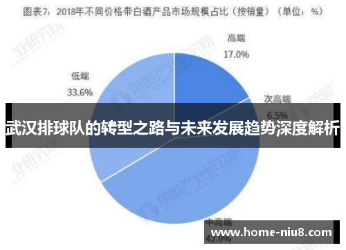 武汉排球队的转型之路与未来发展趋势深度解析